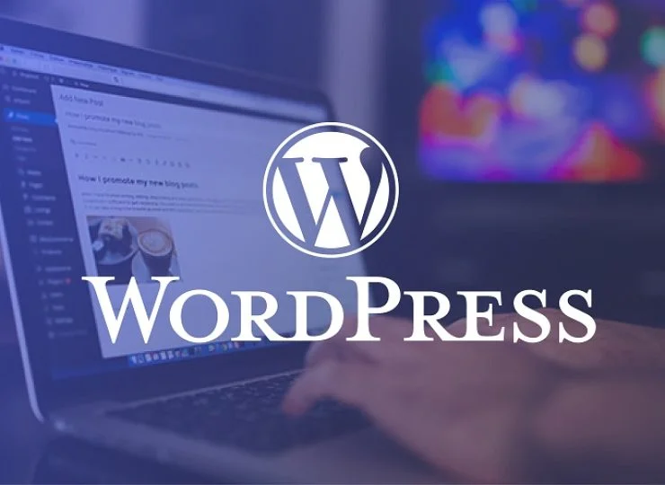 自用wordpress插件下载